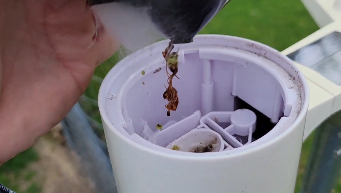 Ambient Weather Rain Gauge Not Working How to Fix? WeatherStationPro